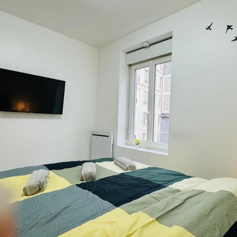 Nid Confort - 2 pas à la place de Jaude - One-Bedroom Apartment - 8