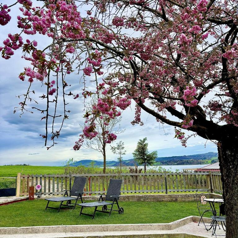 Gästhaus "Seeblick" - Apartment mit 2 Schlafzimmern und Gartenblick - 20