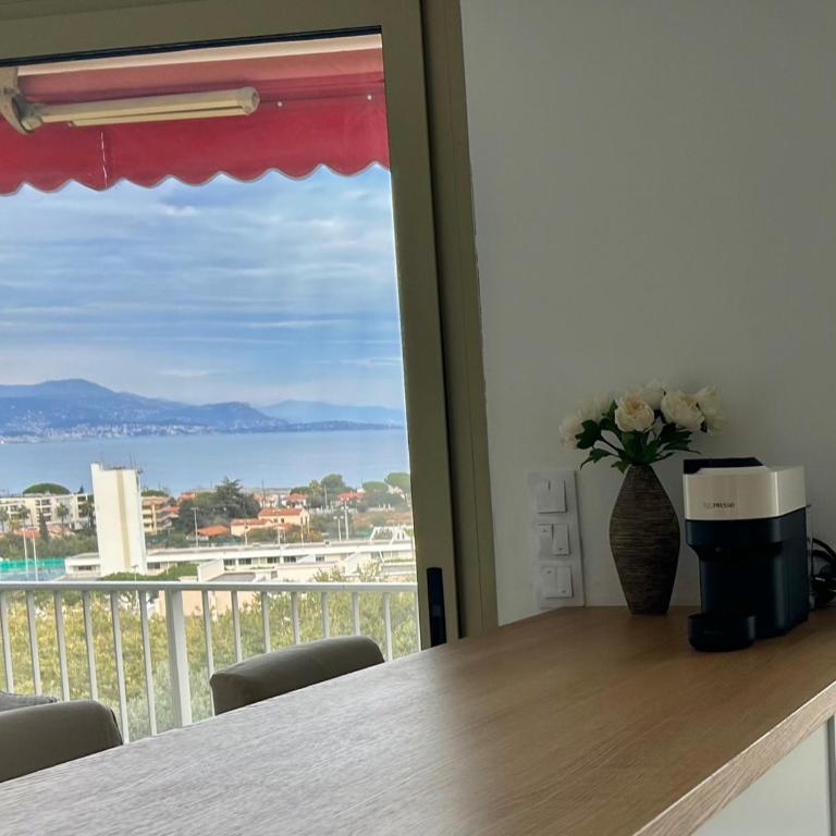 Superbe 2 pièces Antibes vue mer, piscine, parking - Appartamento con 1 Camera da Letto - 4