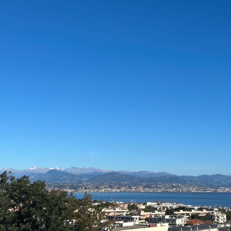 Superbe 2 pièces Antibes vue mer, piscine, parking - Appartamento con 1 Camera da Letto - 14