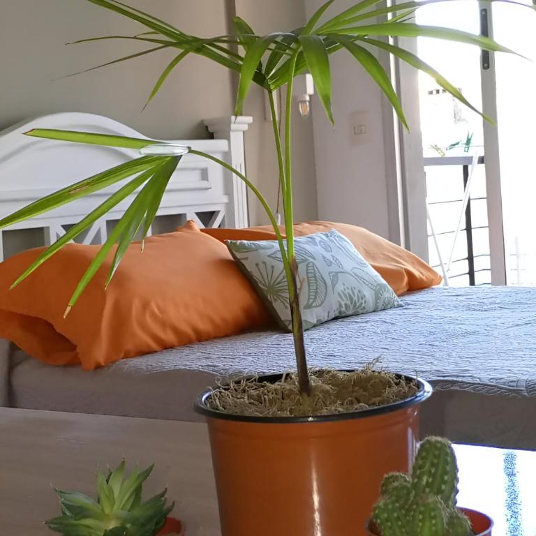 Donde el alma sonrie AHI ES piscina jardin facil acceso por Avda 9 de Julio - Apartamento con vistas a la piscina - 5