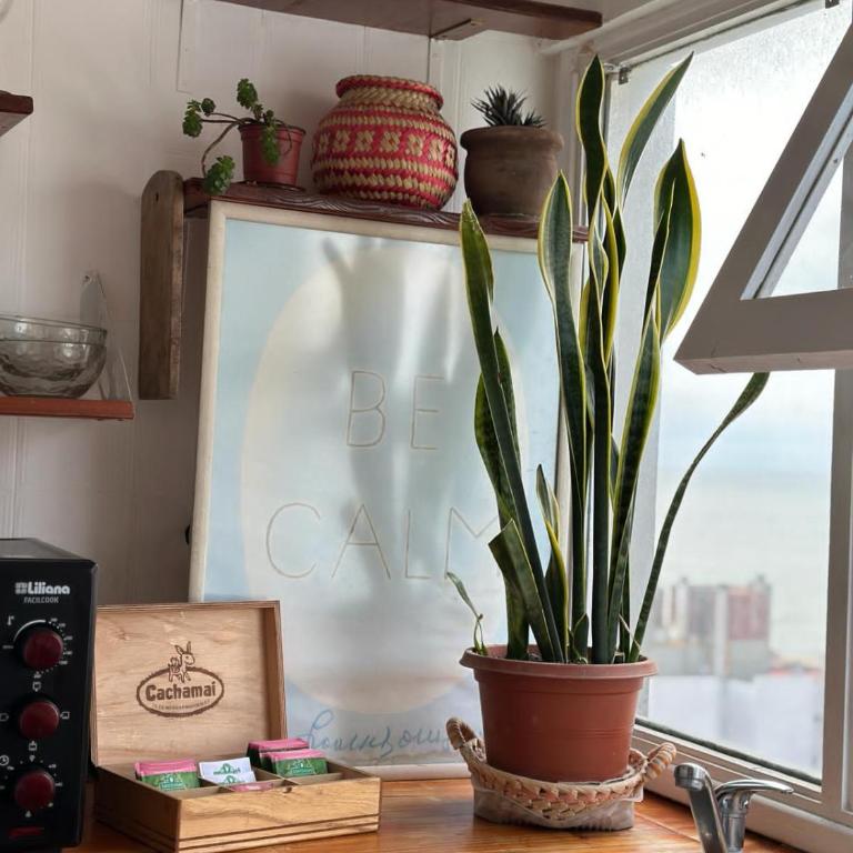 Hermoso monoambiente con vista al mar en La Perla , Mar del Plata - Estudio - 14