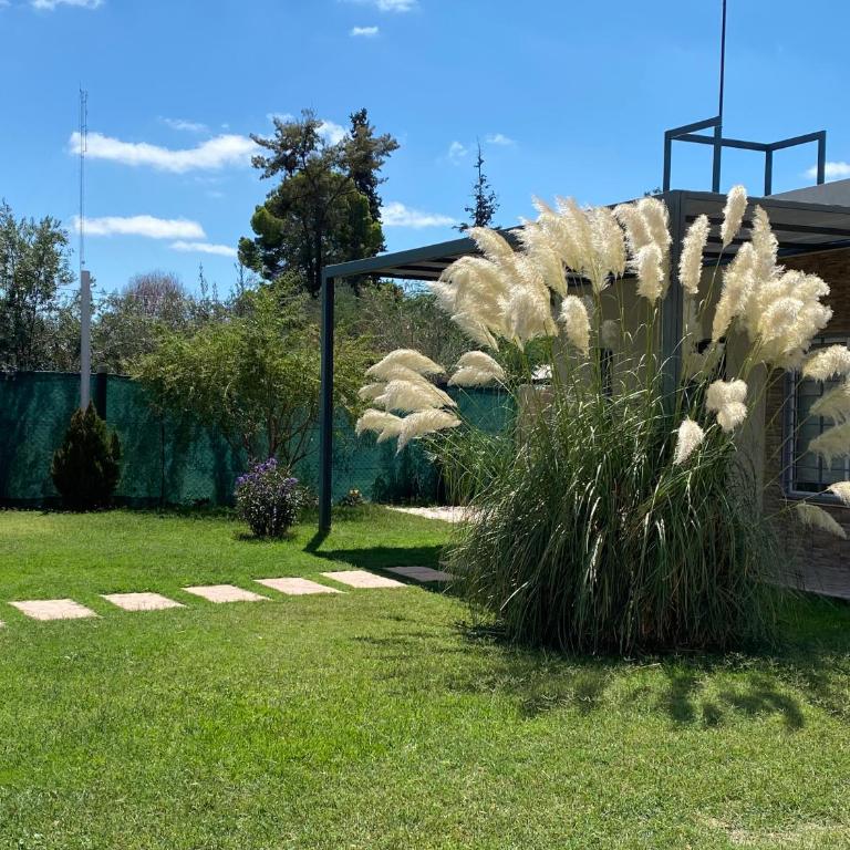 Aires del Valle - Casa Unifamiliar de 2 dormitorios - 24