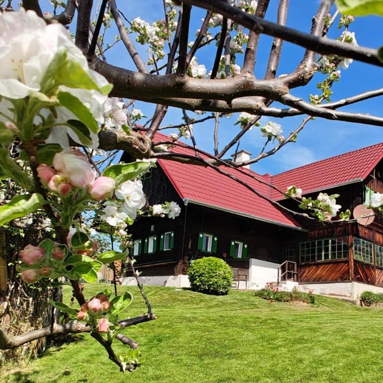Ferienhaus Müller Bauernhaus - Haus mit 2 Schlafzimmern - 2