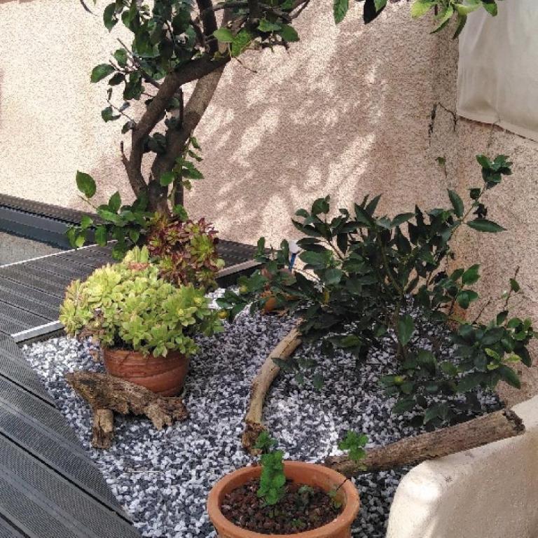 Grande maison à louer à La Londe les maures - Casa con 4 camere da letto - 2