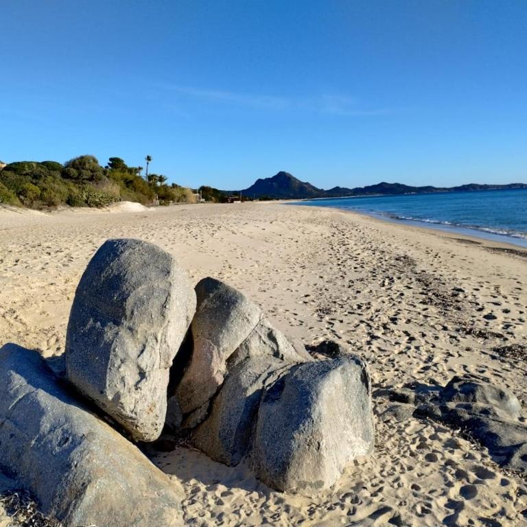 Costa Rei Free Beach Residence Alloggio a un passo dal mare di Sardegna - Appartamento con 1 Camera da Letto - 23