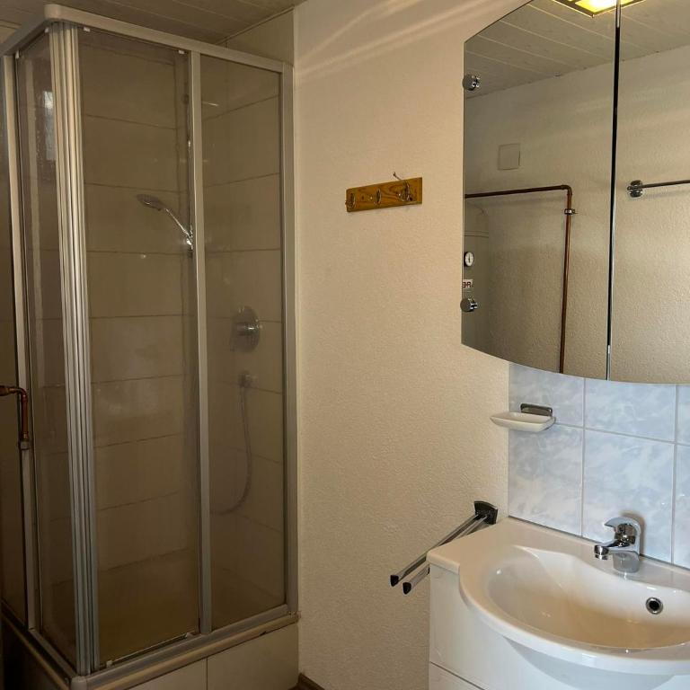 Sepplhütte - Ferienhaus mit Dusche - 28