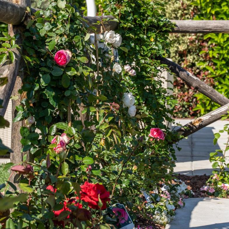 Estate4home - Dimora delle Rose - Villa - 53