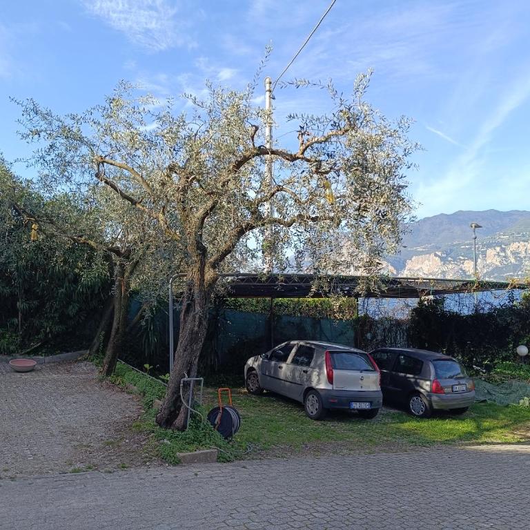 Casa Banterla appartamento Paola - Appartamento con 2 Camere da Letto - 8