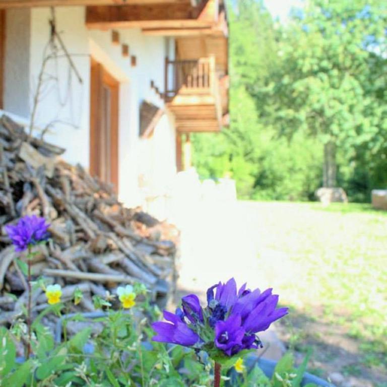Eco Chalet Nonno Silvano - Superior Chalet - 57