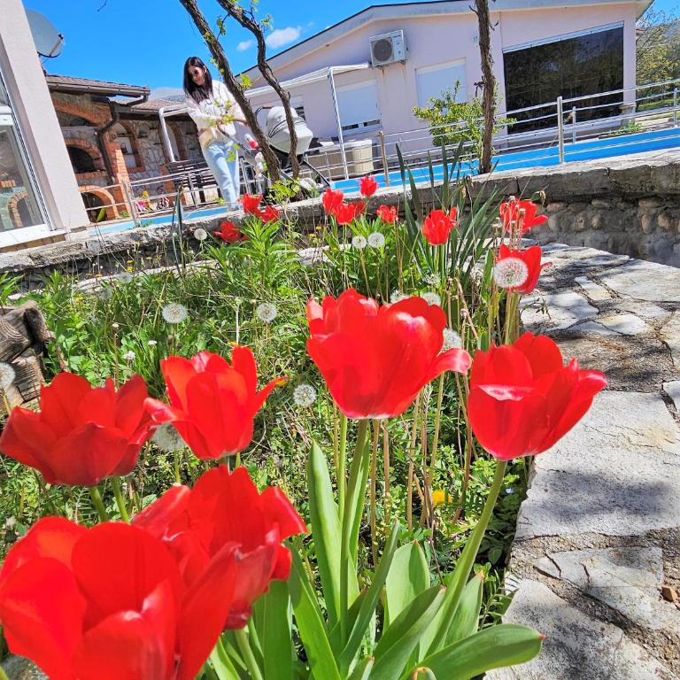 Hacienda Kolenda - Vacation Home - 4