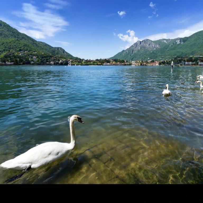 MY LAKE HOME - Monolocale King con Divano-Letto - 18
