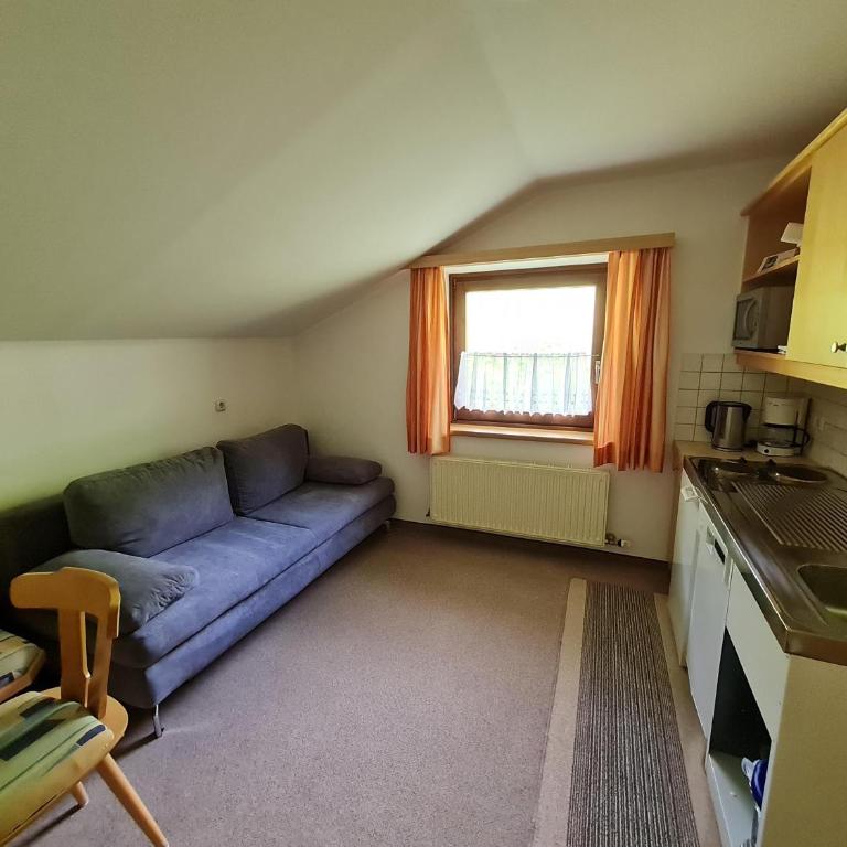Haus Bürgler - One-Bedroom Apartment with Shower - 2