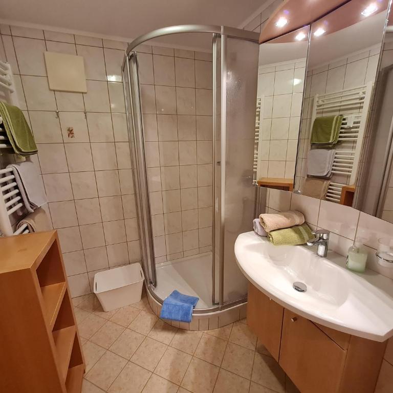 Haus Bürgler - One-Bedroom Apartment with Shower - 3