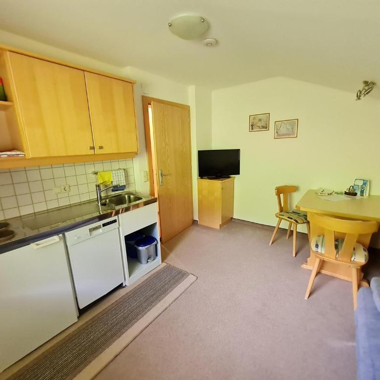 Haus Bürgler - One-Bedroom Apartment with Shower - 5