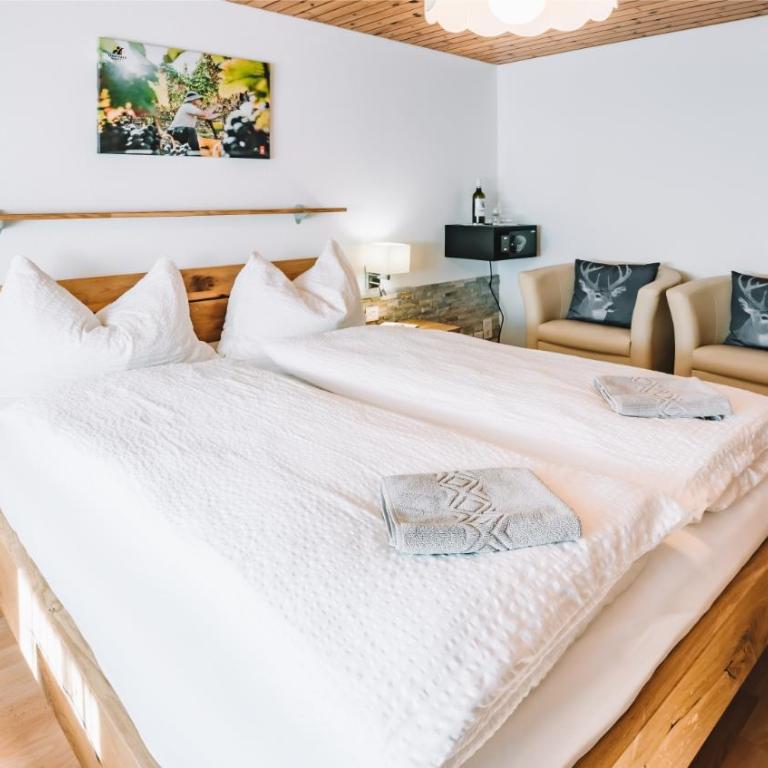 Hotel Paradis-Leukerbad-Therme - Economy Doppelzimmer - 1