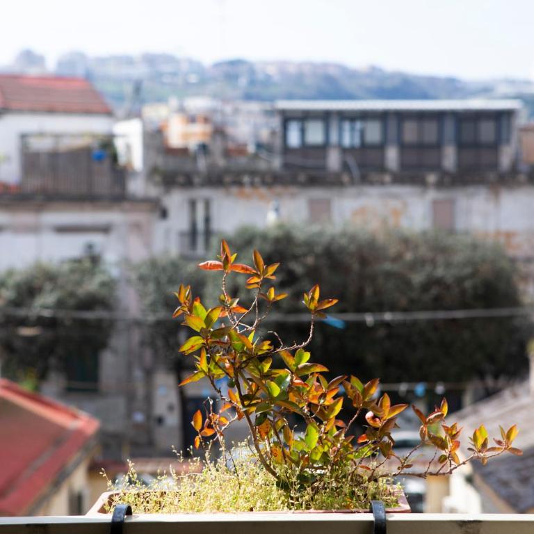 BnB Etnuvio, double rooms in Naples - Camera Matrimoniale con Bagno Privato - 18