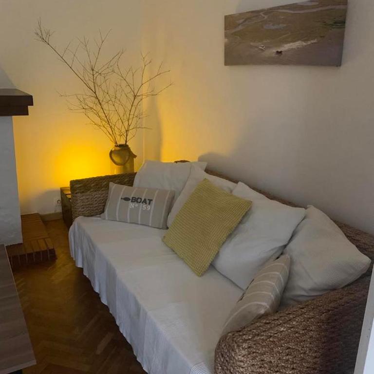 LA PHOCEENNE - Appartement - Rez-de-Chaussée - 3