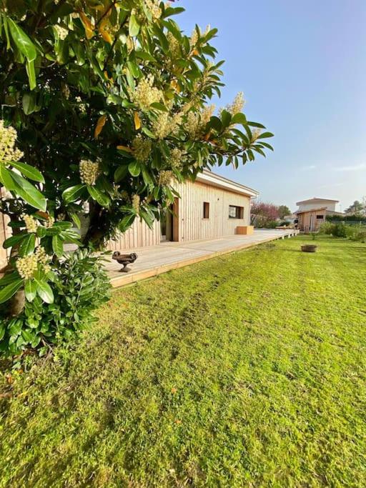 Belle Villa Terra Mare classée 4 étoiles entre océan et bassin - Villa avec Piscine Privée - 18