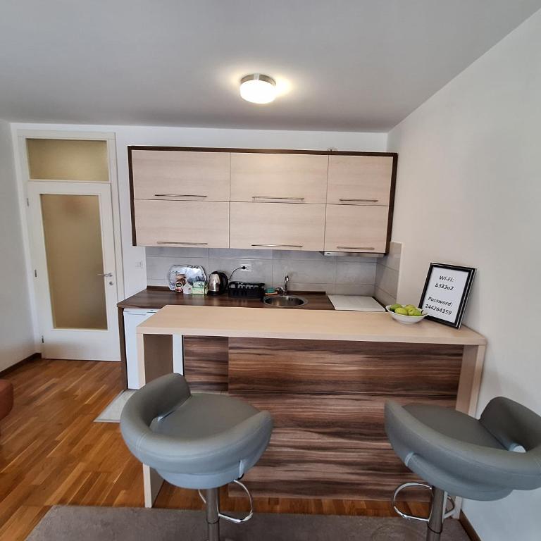 Apartman Sarah - Autobuska Stanica - Apartman sa 1 Spavaćom Sobom - 4