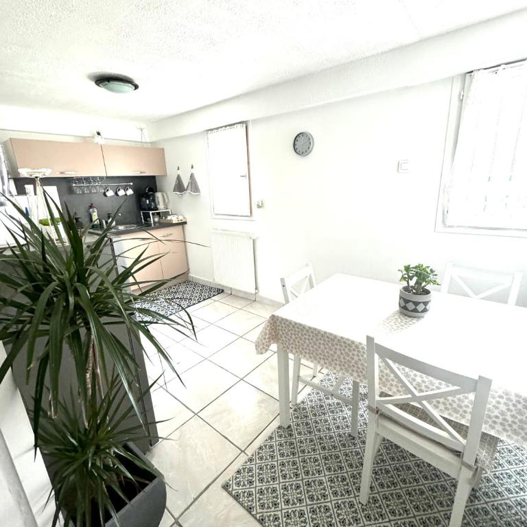 T2 La roseraie - Apartment - 1