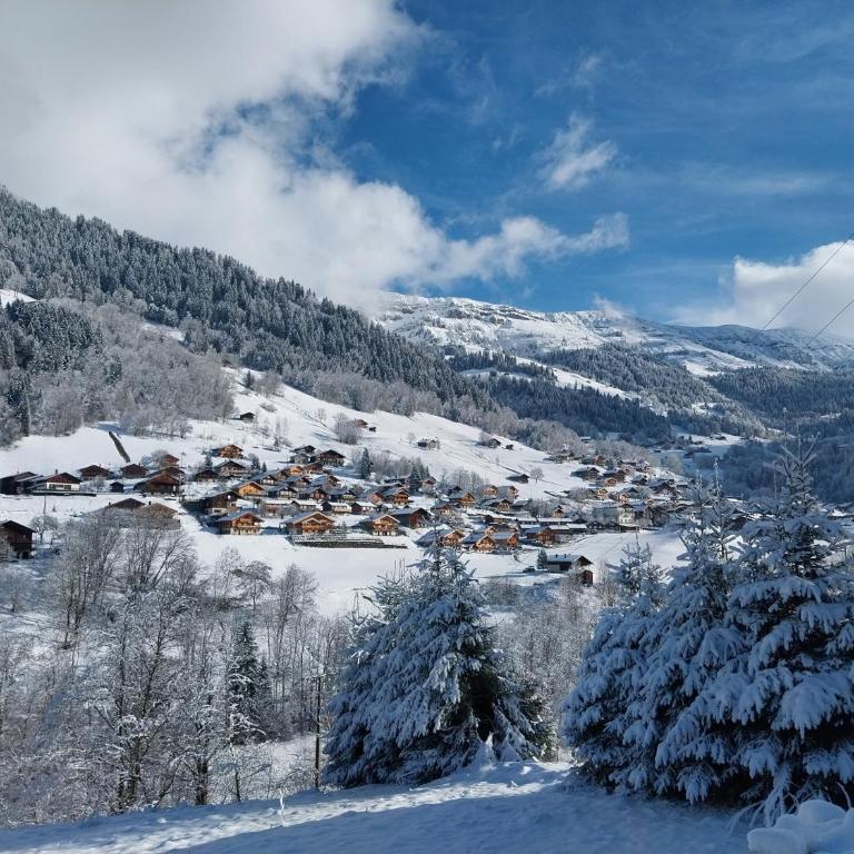 Arêches, 4 pers, télésiège à 5 mn à pied, grande terrasse en RDJ - Apartamento de 2 dormitorios - 30