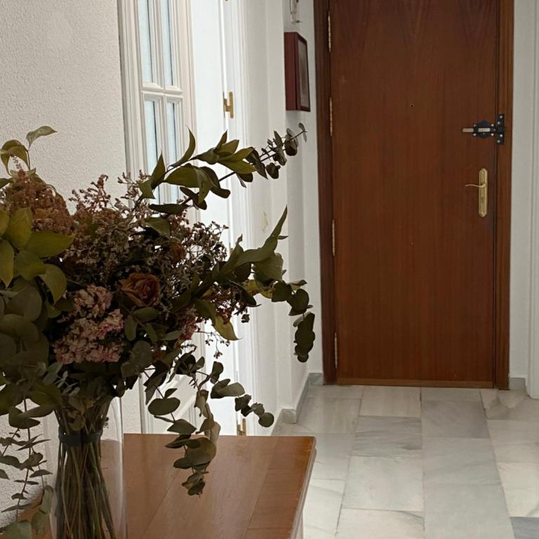 Jerez Avenida - Apartamento de 3 dormitorios - 4