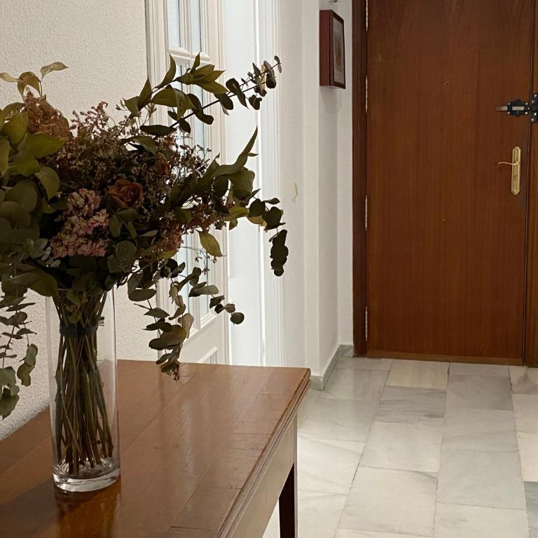 Jerez Avenida - Apartamento de 3 dormitorios - 24