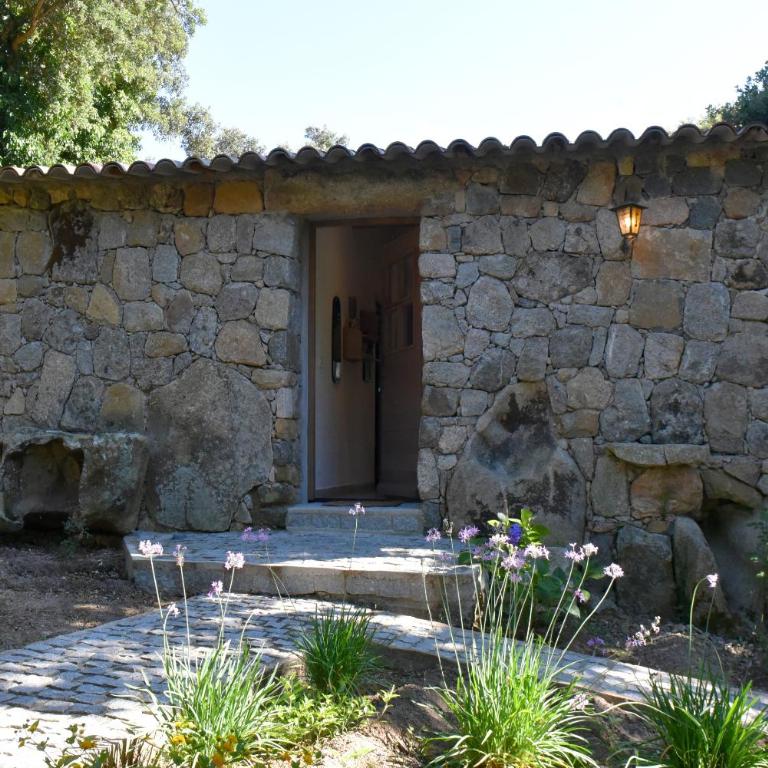 Domaine Pardini - Maison 1 Chambre - 4