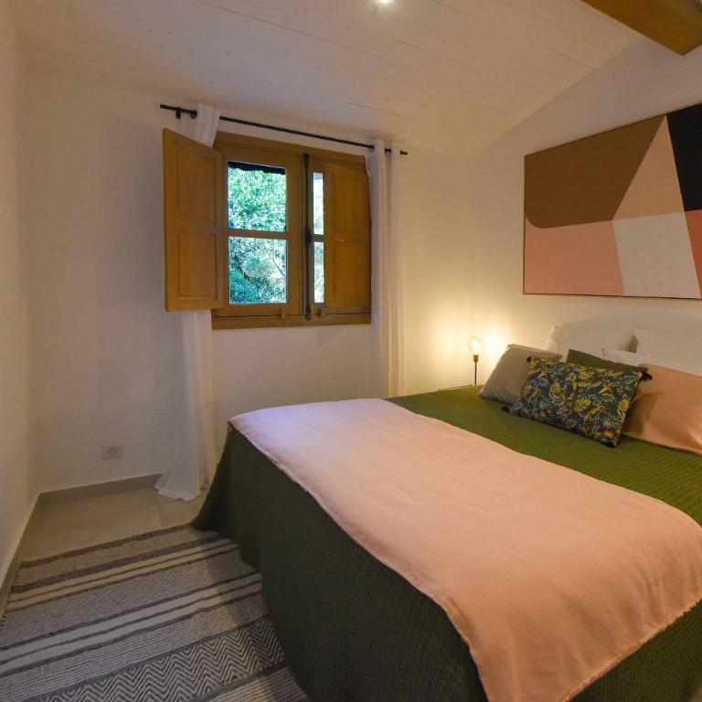 Domaine Pardini - Maison 1 Chambre - 6
