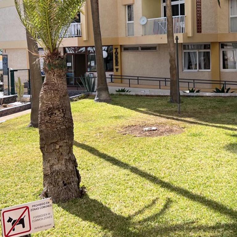 Apartamento Frente Mar, Playa de Las Americas - Apartamento de 1 dormitorio - 49