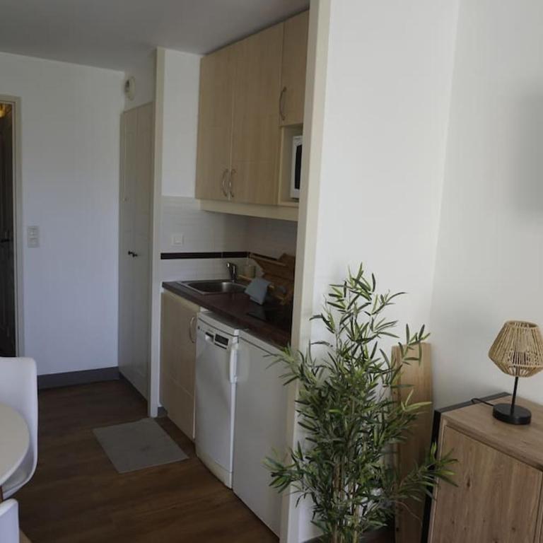 the elegant cap esterel - One-Bedroom Apartment - 15