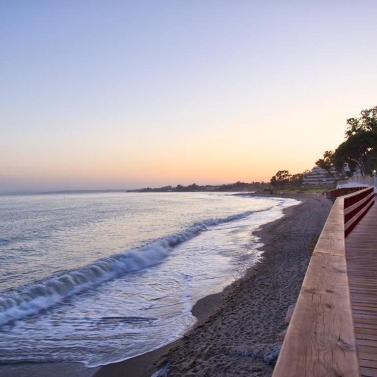 Palm Breeze Beachfront Suite - One-Bedroom Apartment - 28