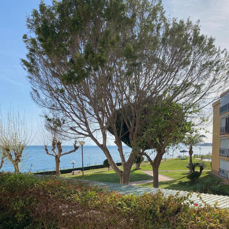 Palm Breeze Beachfront Suite - One-Bedroom Apartment - 32