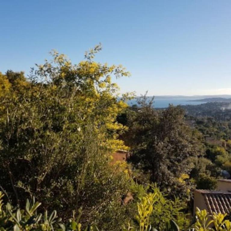 "Le Petit Bonheur" Studio Vue Mer - Climatisation - Parking gratuit - Côte d'Azur - Appartement 1 Chambre - 31