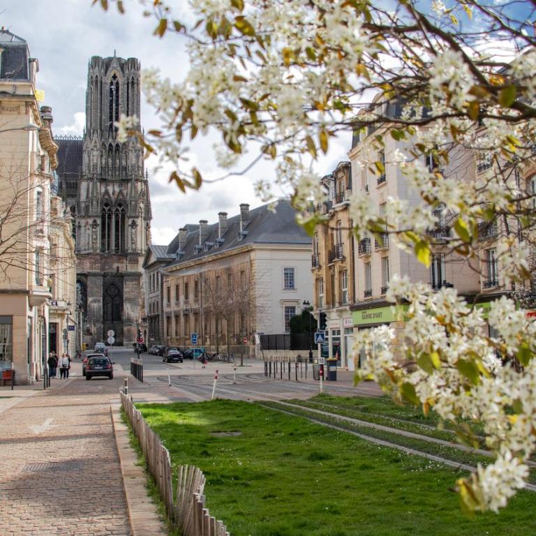 Rare! Magnifique appartement - Vue Cathédrale - Appartement 2 Chambres - 24