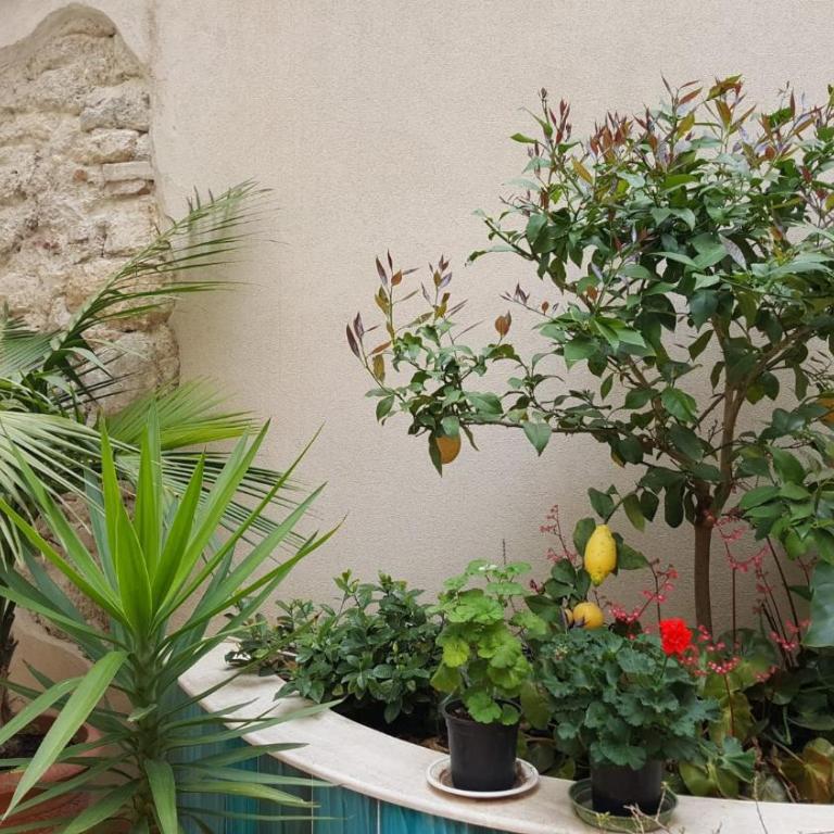 L'ORTO MAGNO - Appartamento Classic - 9