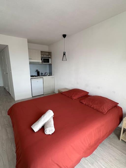 Le Cocon - proche gare et centre ville - Studio - 9