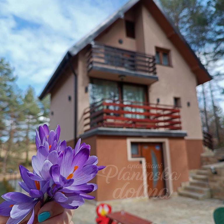 Planinska dolina - One-Bedroom Apartment - 36