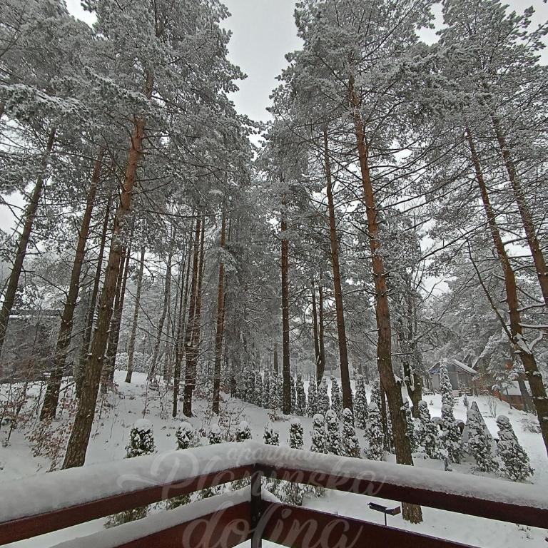 Planinska dolina - One-Bedroom Apartment - 42