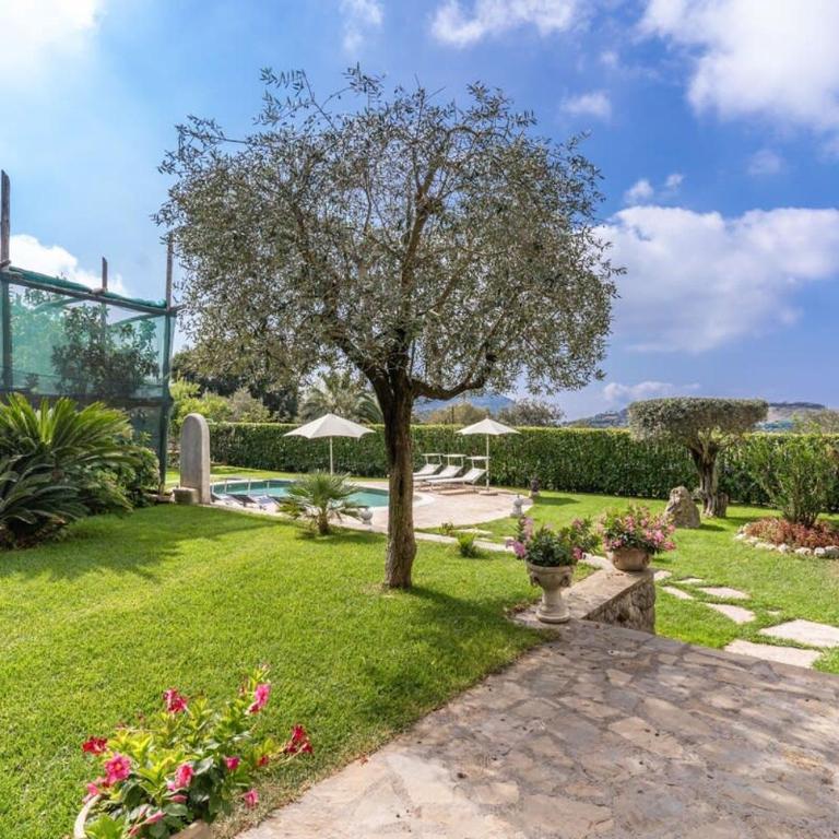Villa Mimosa Rustic Elegance Views & Pool - Villa con Piscina Privata - 40