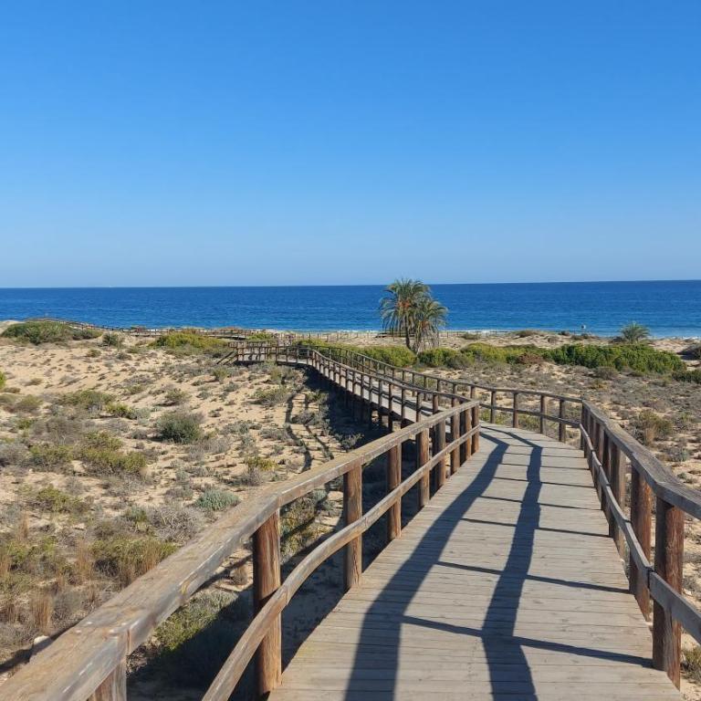 Arenales Sea View Apartment - Apartamento de 1 dormitorio - 21