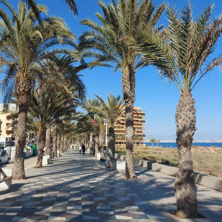 Arenales Sea View Apartment - Apartamento de 1 dormitorio - 26