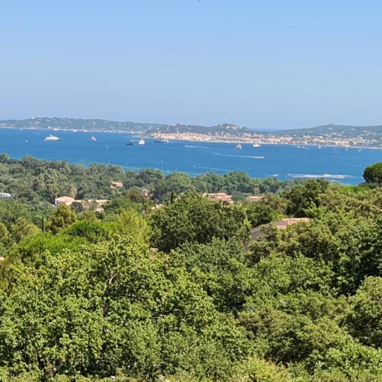 Les restanques du Golfe de SAINT TROPEZ, - Appartamento con 1 Camera da Letto - 9