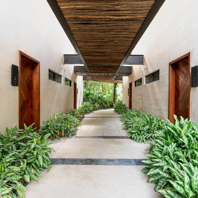 Cacao Tulum - Studio with Exterior Plunge Pool Washer & Dryer - Apartamento de 1 dormitorio - 4