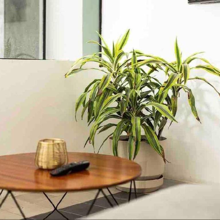 Beautiful loft in Colonia Americana - One-Bedroom Apartment - 20
