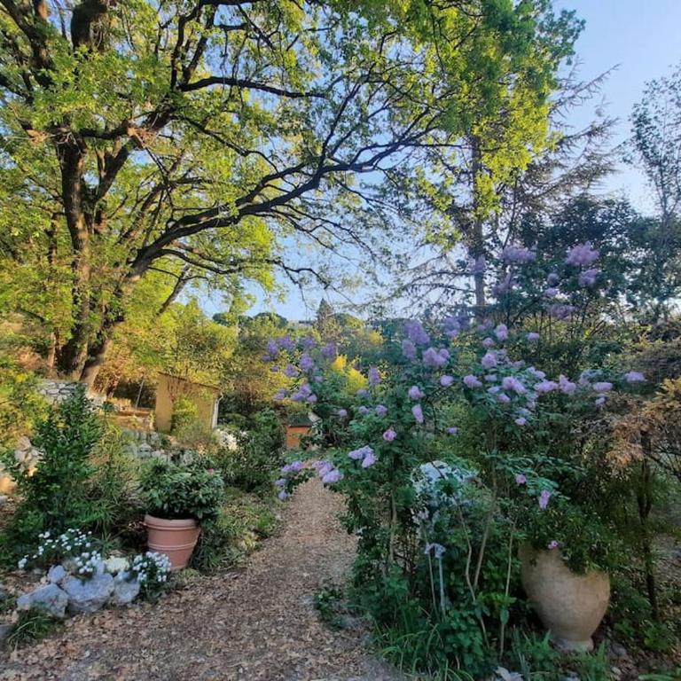 Domaine des Petites Sœurs à 800m du centre historique avec 5200m2 de parc arboré - Appartement 1 Chambre - 12