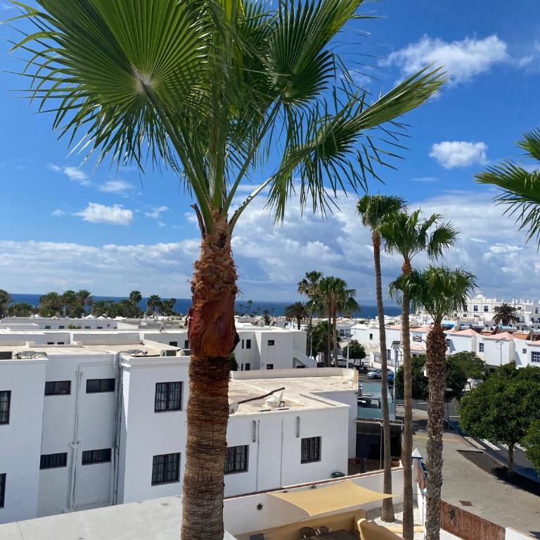 Blue Ocean - Apartamento de 1 dormitorio - 16