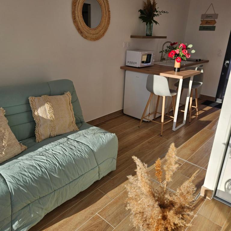 Studio meublé - Appartement 1 Chambre - 5