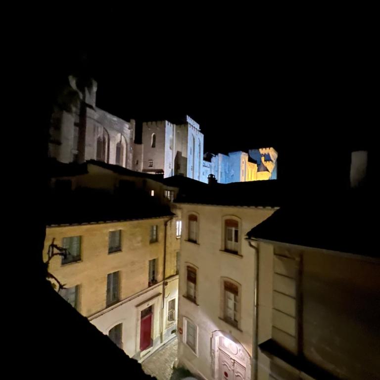 RÉNOVÉ, vue SUR Palais des Papes, terrasse et WIFI TROISIEME ETAGE - Apartment mit 1 Schlafzimmer - 37